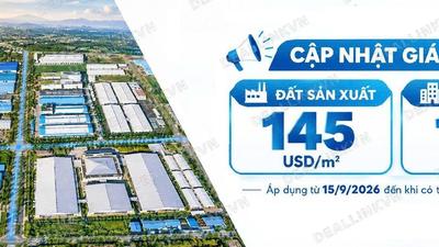 Cho Thuê Đất Công Nghiệp Quy Mô Lớn Tại Thủ Thừa, Tây Ninh – Hạ Tầng Hoàn Chỉnh, Sẵn Sàng Đầu Tư